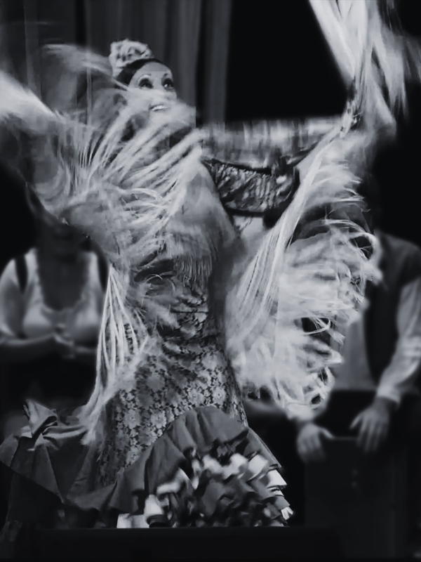 Clases de Flamenco
