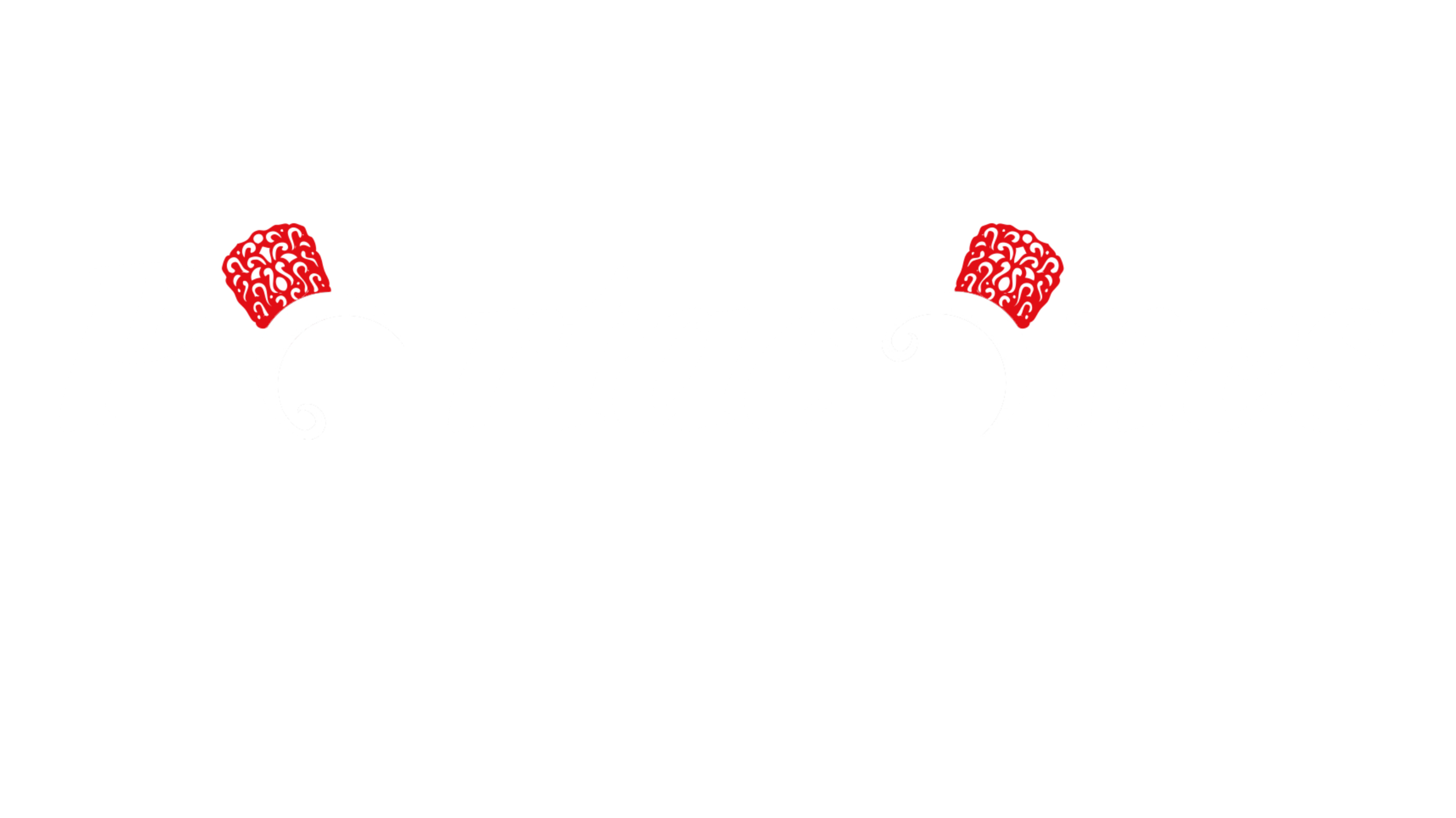 Portacones Logo